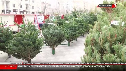 ������������ ������� 23.12.25