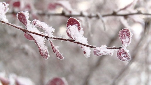 ������ ������� �������� ��������� �������� � ������������� �������