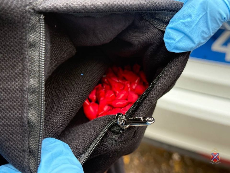 ������������ ����������� ������ ������������ ��������� ���� � ��������� �� ���� ������������� ������������� ������� ����������� �����������