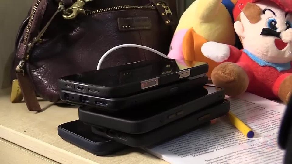 ������������� ����������� ������� ������ ���, ���������� � ������������� �� 43 ��� ������