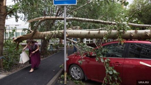 ��������� ����� � �������� ����: ��� ������ ������� ������?