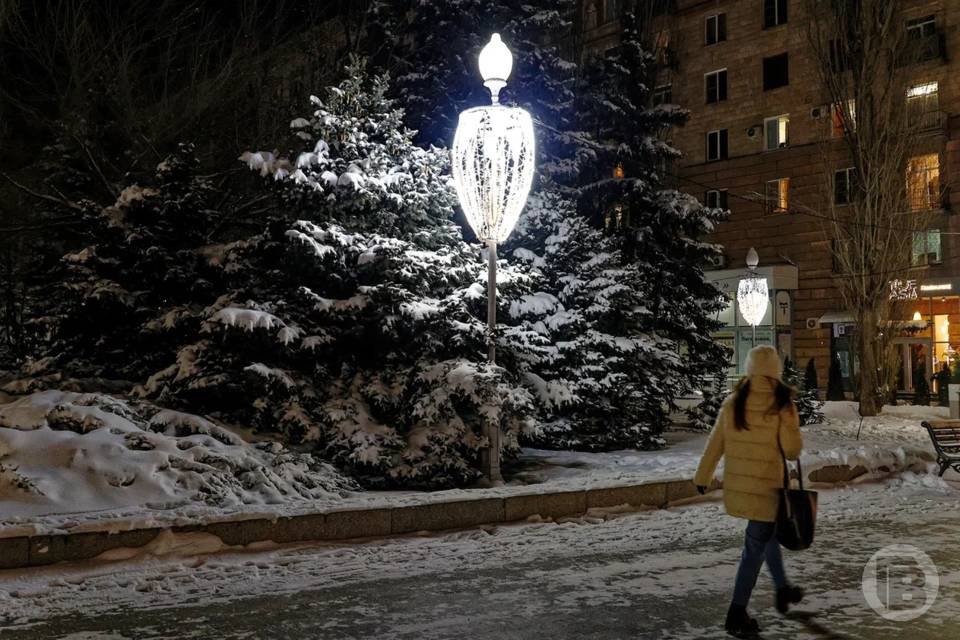 Снежный шторм обрушится на Волгоград: объявлена погодная тревога