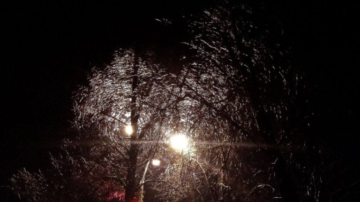 ������� �����: ������ � ���� ����������������