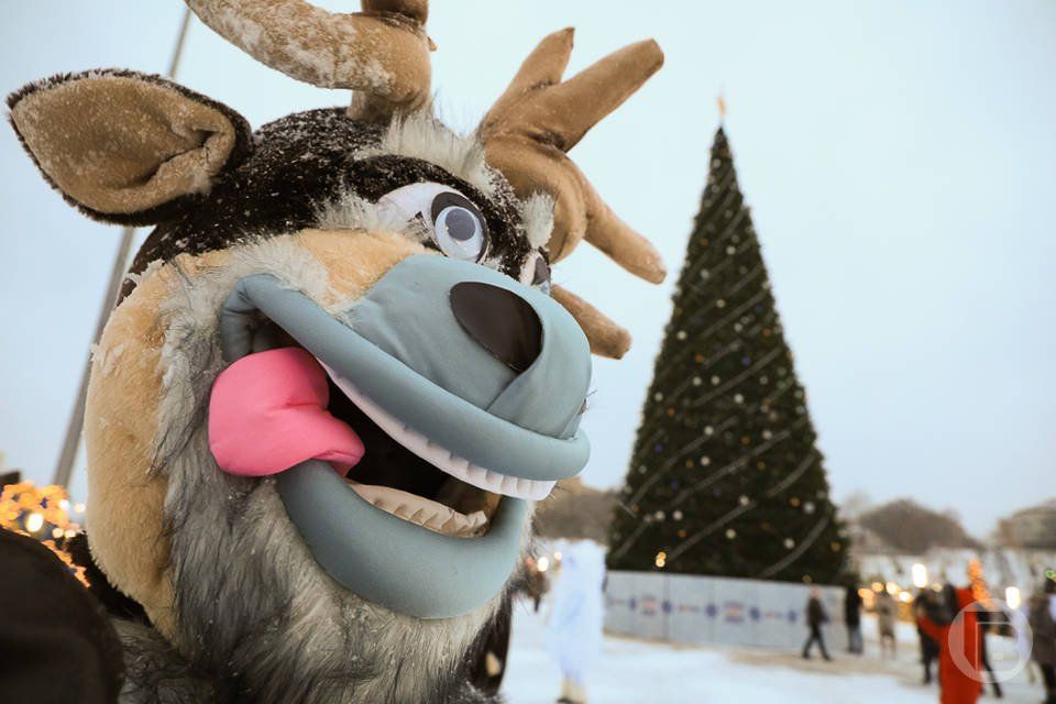 Волгоградцев ждет мощная магнитная буря в новогоднюю ночь