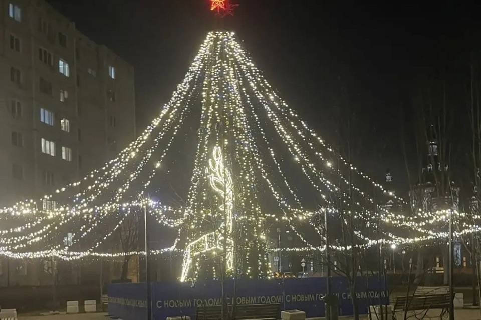 Лучшую елку региона выбрали в Волгоградской области