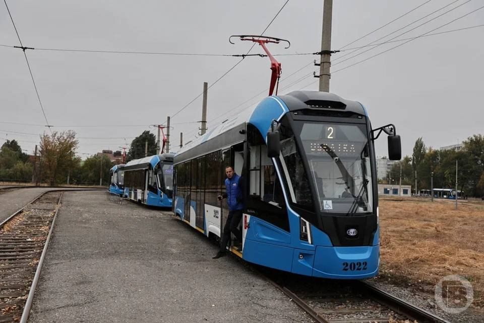 � ���������� ������������ �������� �� ���� ���������� ���������