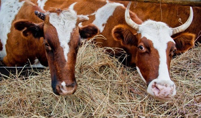 � ������������� ������� ������ ��������� ����� � ����� ������������ ������