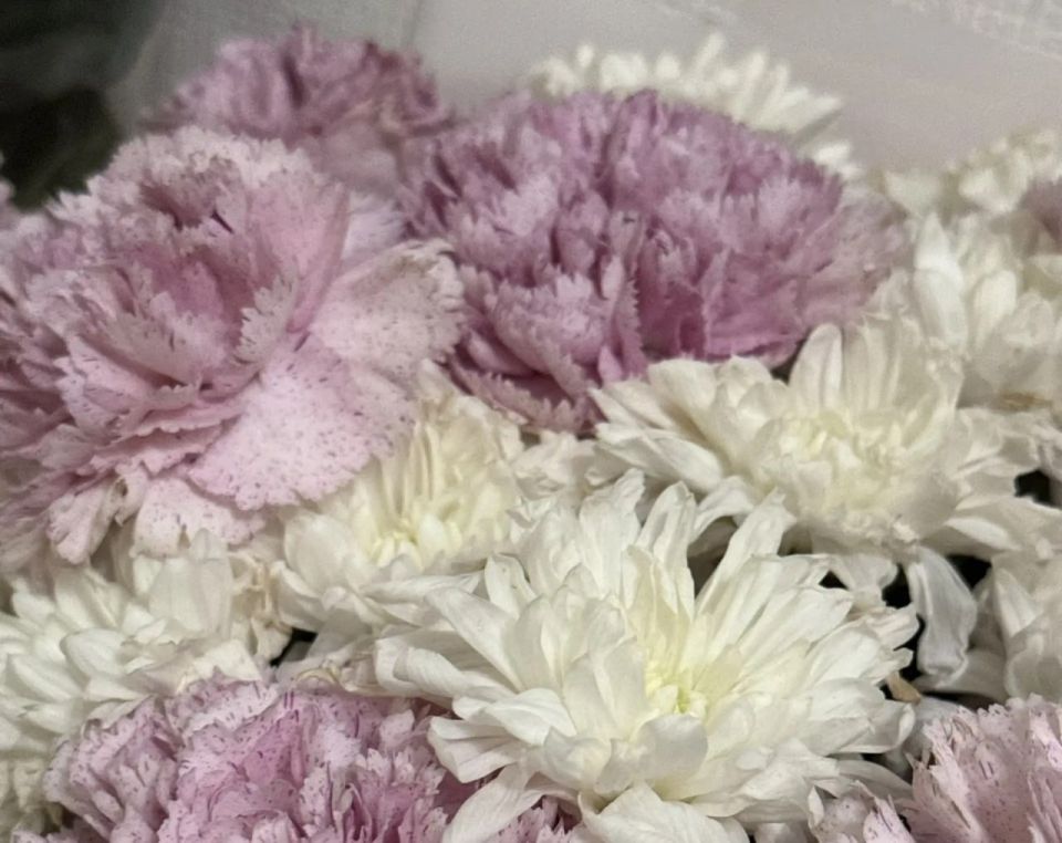 ������ ��� ������ ����� ������ � ������������� ������� ��������� ���������� ��������