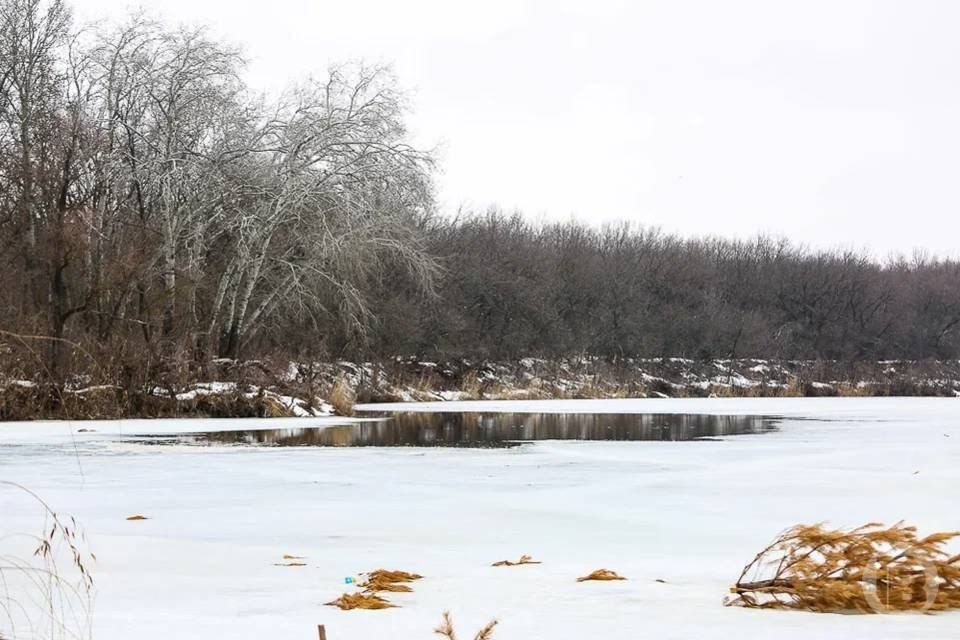 � 31 ������� � ������������� ������� ������� ����� �� �������