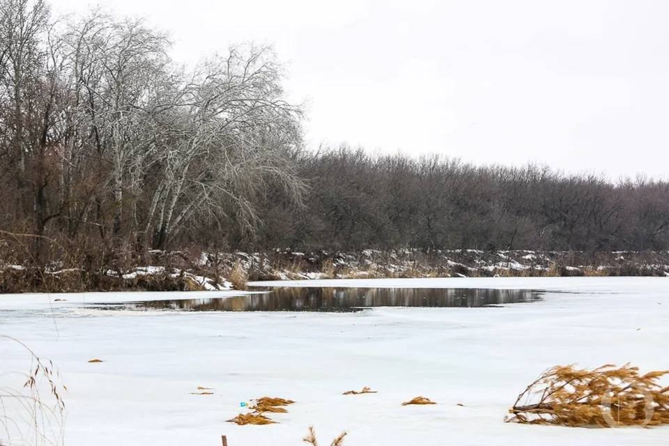С 31 декабря в Волгоградской области открыли охоту на кабанов