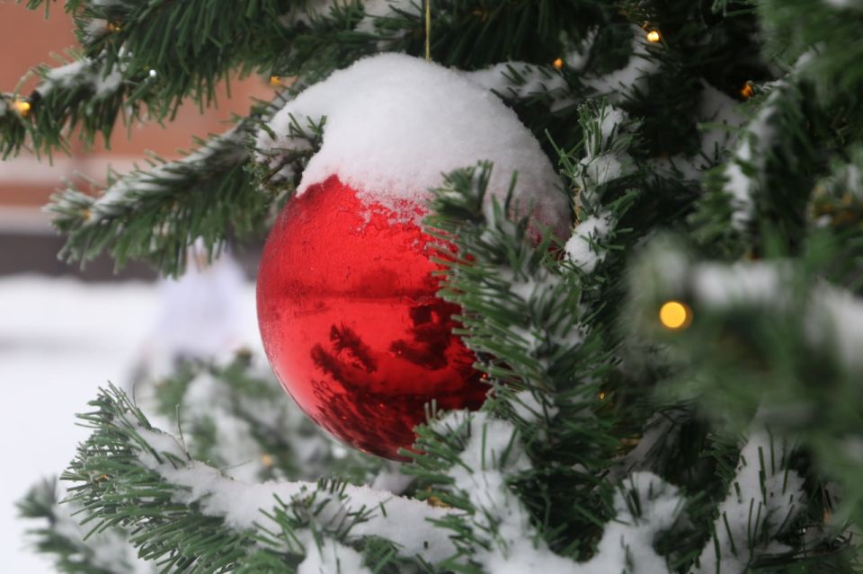 ������������ ������������ ������������� ��������� ���� �������� ����������� � ����� 2026 ����� � ����������