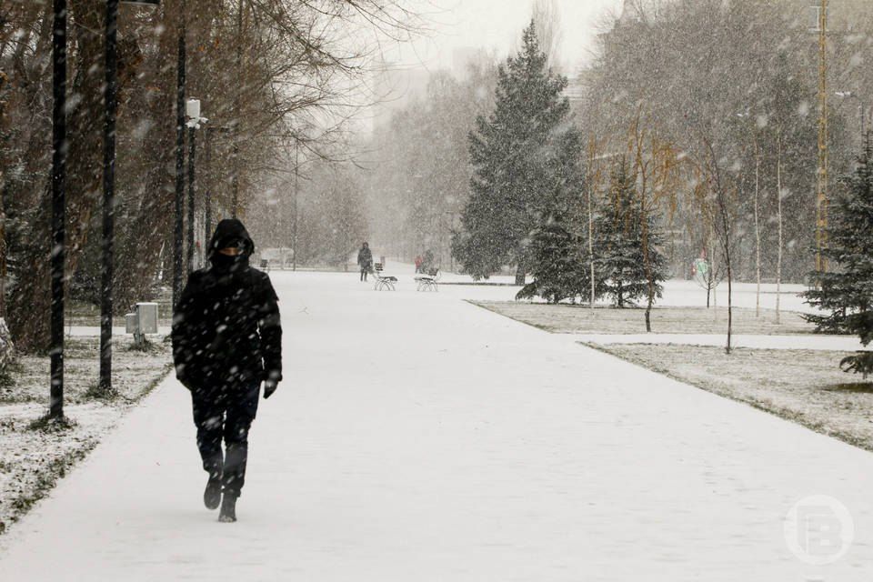 ��������, �������� ������ ������� �������� ���������