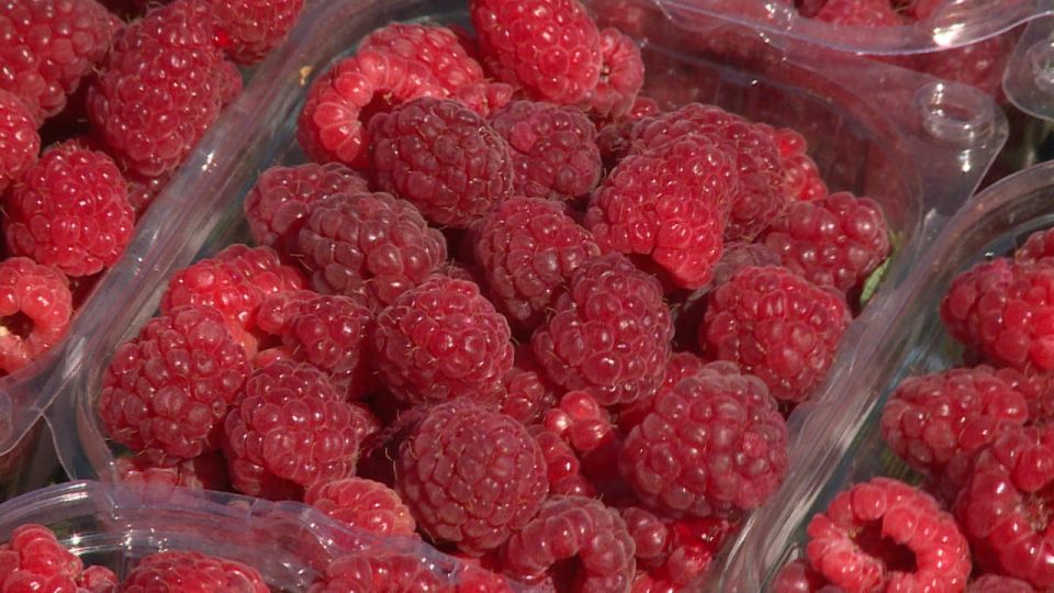 � ������������� ������� ������� ��������� ������ ������ � ���� � 2025 ����