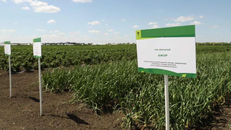 ����� ���� ��������� ��������������������� ������ ����������� � 1 ������ 2026 ����