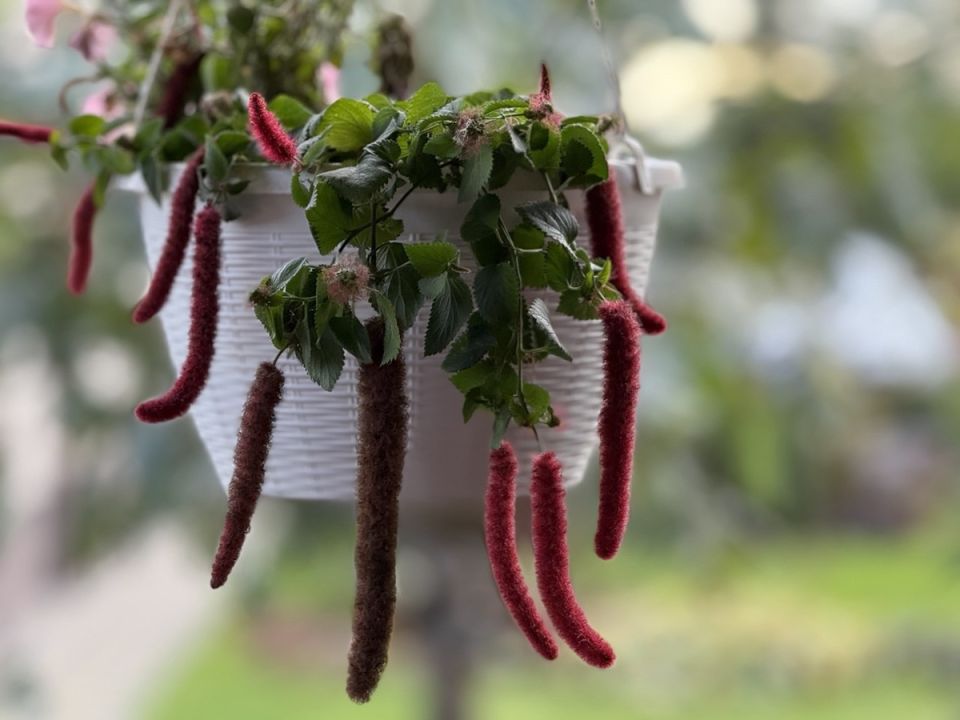 ������ ������: ��� ��������� ��������� ������������ � �������� ��������