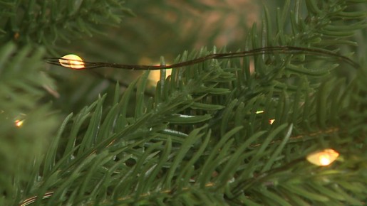 � �������� 7 ������ ������� �������������� �������