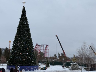 ������ ��������� ������ �������� ������� �� ��� ����������