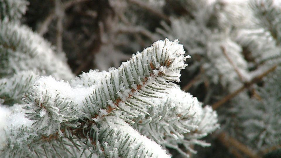 ������ ���� � ���������� ������� ������������ � ��������� � ���������