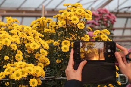 Волгоградский ботанический сад установил новый рекорд посещаемости