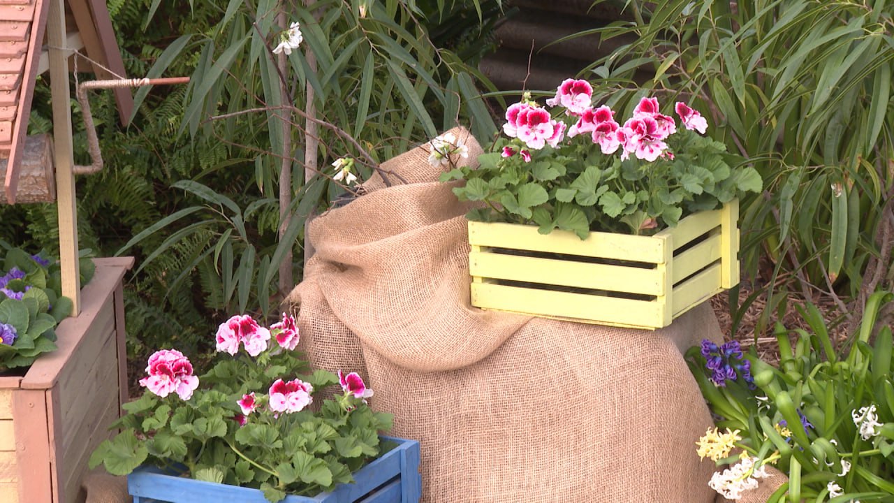 Рекордные 43 тысячи человек посетили волгоградский региональный ботанический сад в прошлом году