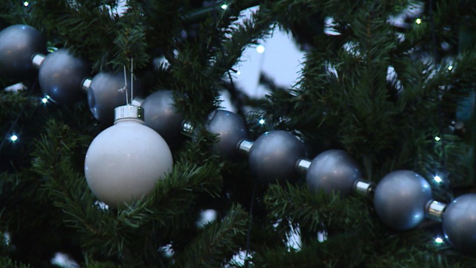 Новогодний квест состоится завтра в Комсомольском саду Волгограда