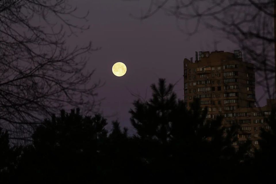 ������� �� 11 ������: ���� ����� ��������� � �������� ����