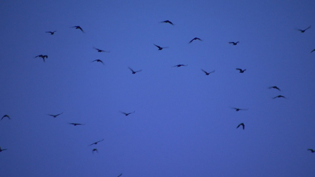 В Волгограде продолжается навигация на единственном круглогодичном маршруте «Руднева – Сарпинский» В Волгограде продолжается навигация на единственном круглогодичном маршруте «Руднева – Сарпинский»