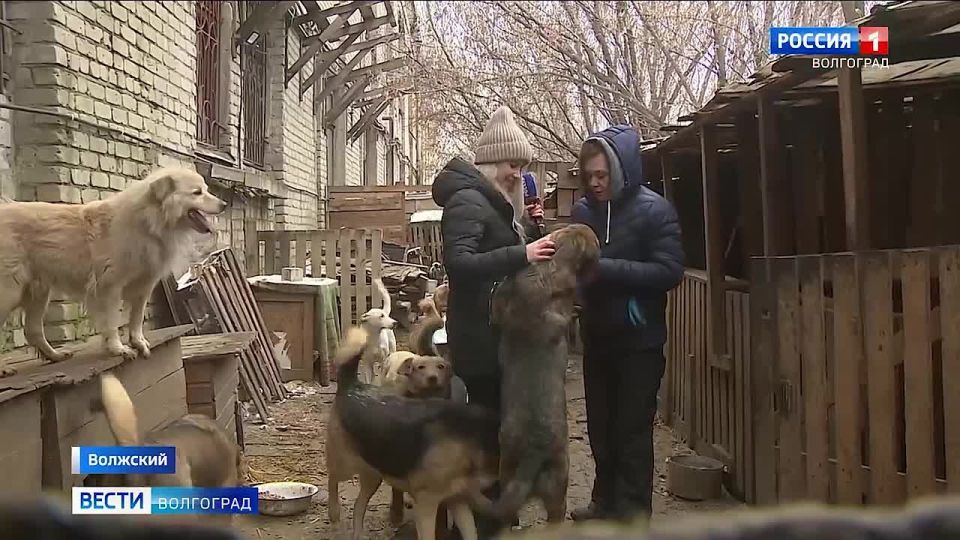 ����� ��� ��������� �������� �������� � �������� ��������� � ���������