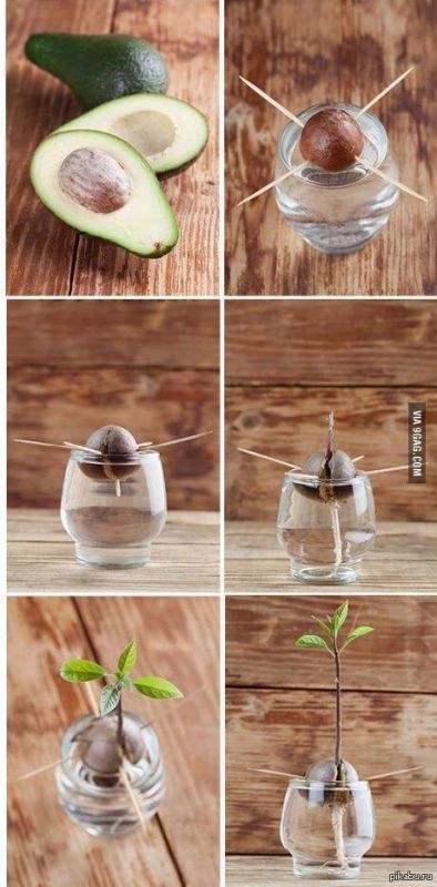 ��� ����� ��������� ������� �� ��������: ��������� ����������� ��� ����