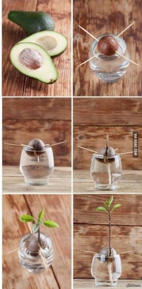 ��� ����� ��������� ������� �� ��������: ��������� ����������� ��� ����