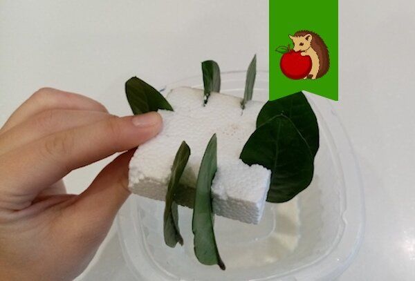 ���������: 5 kreative ������������� � ��������� ������������