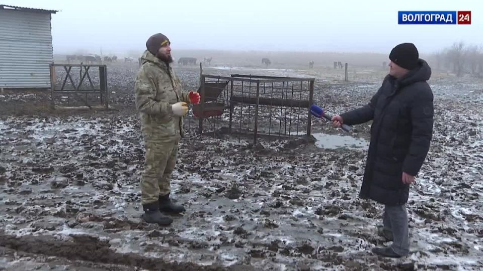 ����������� ������������� ������� ��������� � ������ �������������� ����� � �����