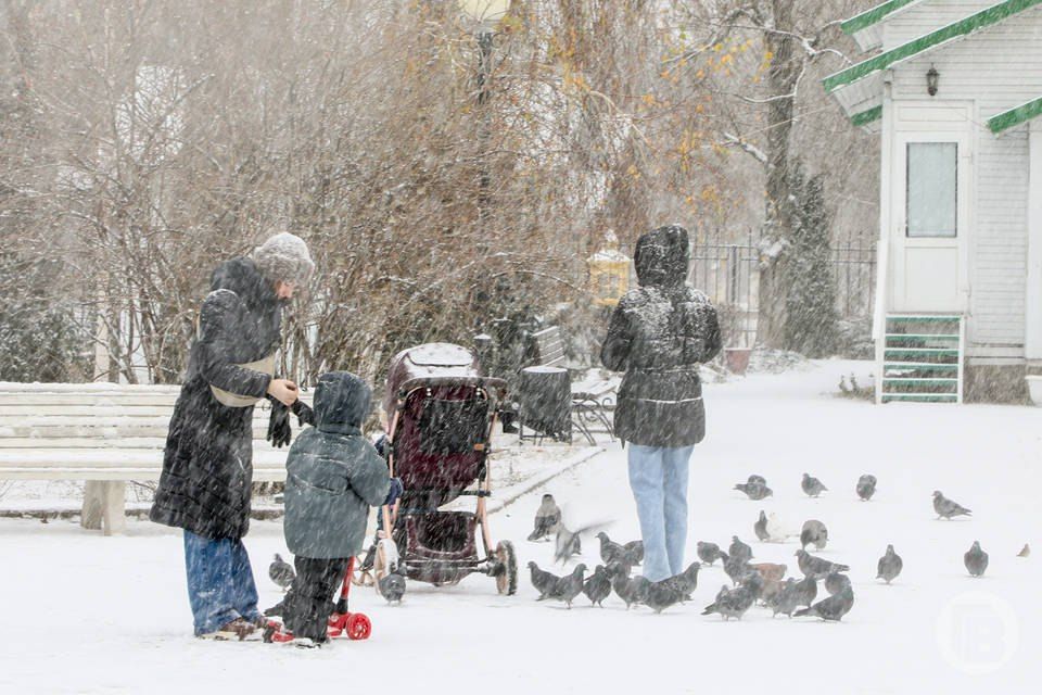 "������������" ������ ������ ��������� ������ �� ������