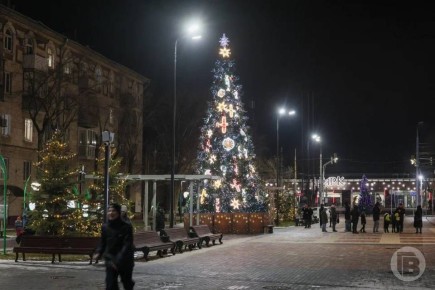 Волгоградская ель может стать лучшей в России