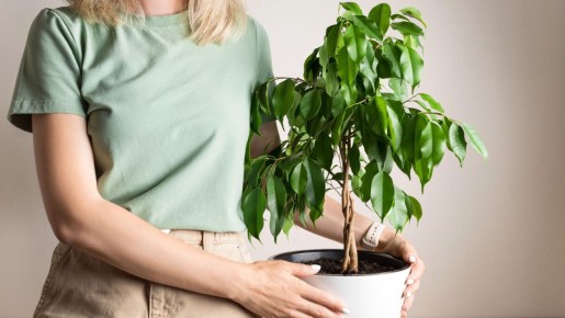 ������ ������ ���������� ������ �� ��������: �� ��������� ������ ������ ��� ������