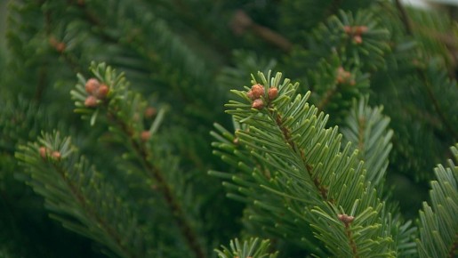 ������������� ������� ��������� �� ������������� ����� ����������