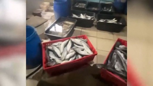 � ���������� ������� ��������� � ������������������ ������� ������ ����������� ������ �� ����������� �������������� �����