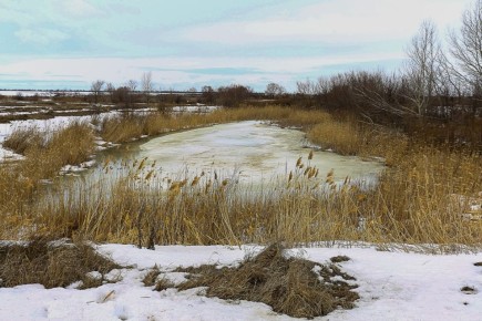 556 ������� ������� ��� ����� � ������������� �������