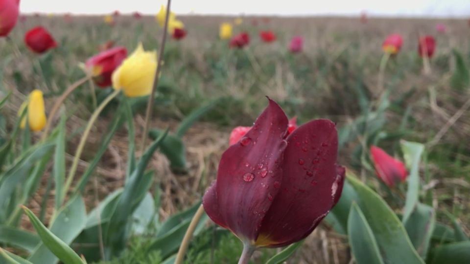 ����������� ���� � ������������� ������ ����� ��� ������