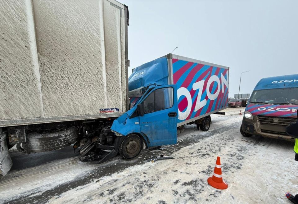 ������ ������������ ���������� ���� �� ������ ��� �����������