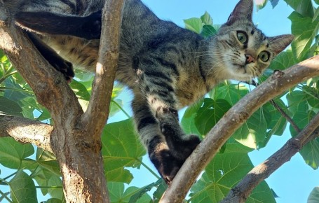 Неожиданные проблемы на даче: как погода влияла на летний урожай