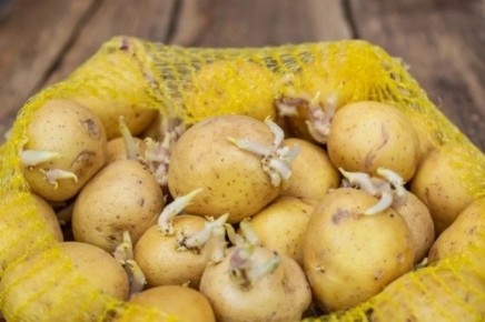 ��� ��������� ��������� ������ �� �����