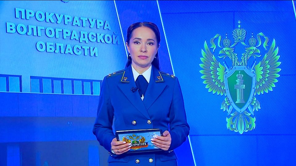 �����������. ������� ��������������