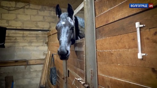 ��� ������ �� ������� � �������� 2026 ����? ���� �������� �������� ������������� ����� �������� � � ����������� �� �������