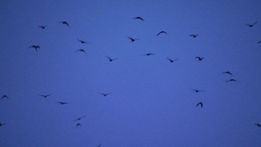 ����� ��������� ���� ������� ������������ � ������