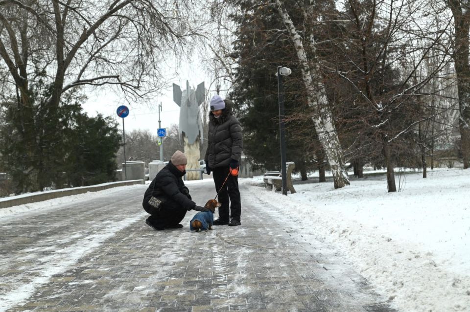 20-��������� ����� � ������� �����: ����� ������ ����� � ���������� �� �������� � � ����� ������