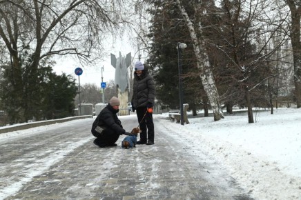 20-��������� ����� � ������� �����: ����� ������ ����� � ���������� �� �������� � � ����� ������