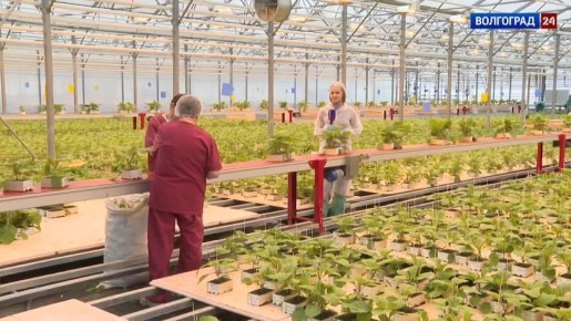 � ���������� �� ��� ������ ��������� ��������� ��� ����������� ������ �����