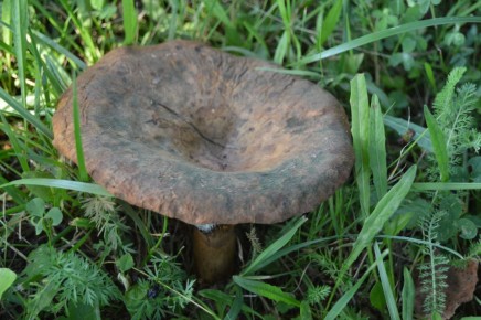 �������� �� ����: ��� ��������� ����� �� ����