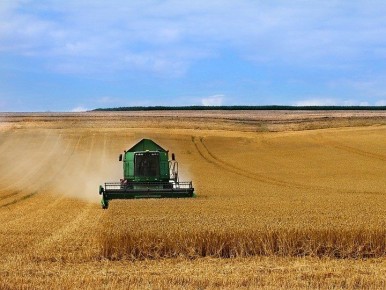 ������ ������� � ������: ����� ��������� � ����������� ��������